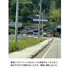 image7.png