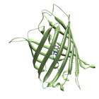 gfp-300x280.png