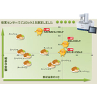 コロッケの測定?