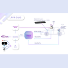 lpvr-duo_dagram_sqr.png