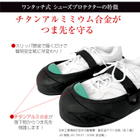 特徴XL1.jpg.JPG