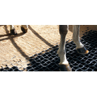 Runfloor-Horses-Photo1.jpg