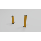 FlexGuard