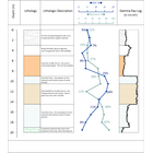 Environmental-Template-1-917x1024.png