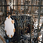 No.8.jpg