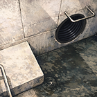 No.5.png