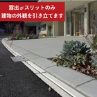 マルチ写真3.jpg