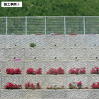 ecobox-2.jpg