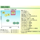チェーン各品種との比較.jpg
