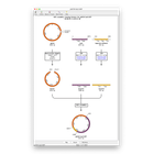 cloning-history-aligner-13-710x1024.png