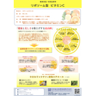 商品説明書-リポソーム型ビタミンC　_page-0001.jpg