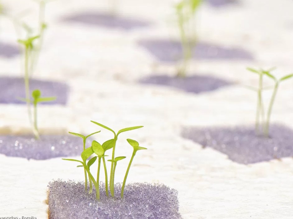 水耕栽培用 ウレタンスポンジ培地 100枚入 クリヌキ十字タイプ 28×285×585mm 23.5mm角 300ピース 育苗マット D地 代引不可 個人宅配送不可