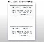 デジタルロードセル用指示計 KS-C880 | クボタ計装 - Powered by