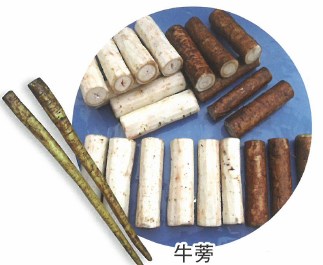 肉野菜切断機 5mm幅 51N9lMSdX-L._UF350,350_QL50_.jpg 肉野菜切断機 5mm幅 51N9lMSdX-L._UF350,350_QL50_.jpg