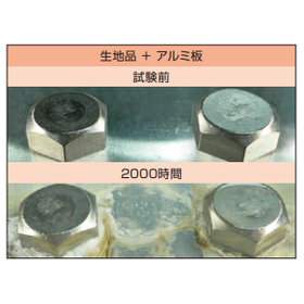 ラスパート -ノンクロム -(ステンレス仕様)6.png