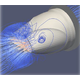 2020-09-01_17h35_32.png