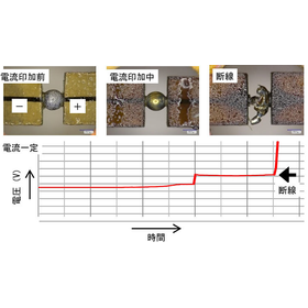エレクトロマイグレーションの検証 画像3.png