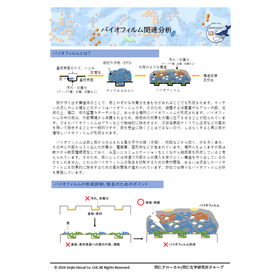 バイオフィルム関連分析カタログ.png