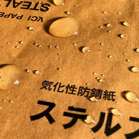 ステルスL.jpg