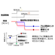 対流成分と輻射成分の切り分け.png