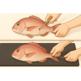 ikejime-shinkeijime-red-seabream-white-black-mat-illustration-strider.jpg