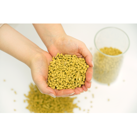 img01_2.png