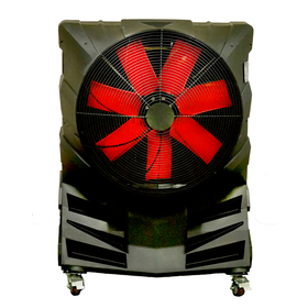 2024 疾風　正面　1000pic.jpg