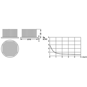 1737000620.jpg