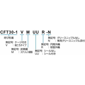 CFT_形式.jpg