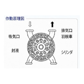 1a.png