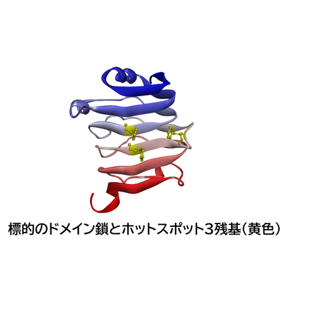 サンプル.jpg