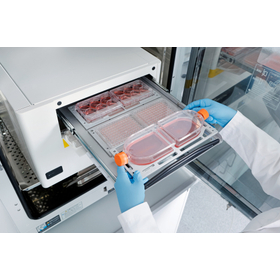 Incucyte-CX3-Incubator-Tissue-Culture-Flasks-Application-Close-3-Sartorius.jpg