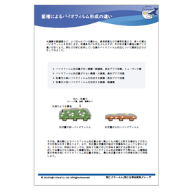 バイオフィルム形成の菌による違いカタログ.png