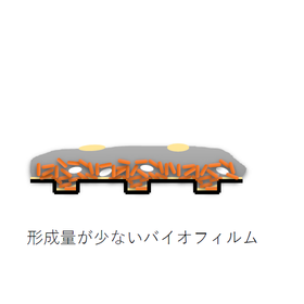 形成量が少ないバイオフィルム.png