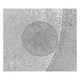 IPROS3274531835380622659.jpg