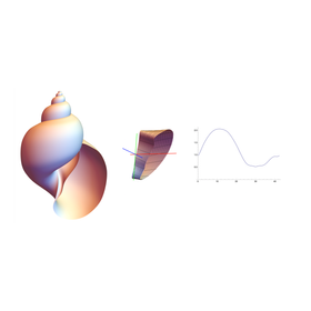 case_mathematica_k_03.png