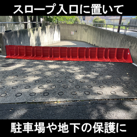 nara.jpg