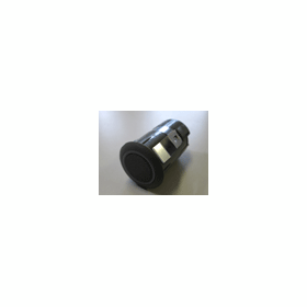 sap-11.gif