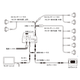 sap-28.gif