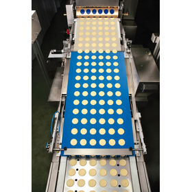 P20 PARTICOLARE-5_mod.jpg