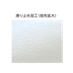 SFTJN1134_image1.png