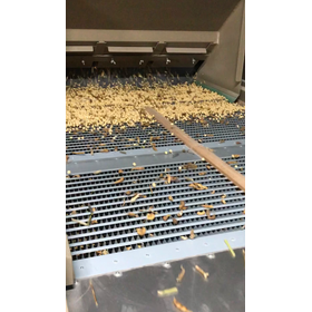 大夾雑物除去機6.png