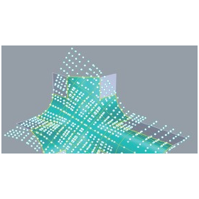 xNURBS3.jpg
