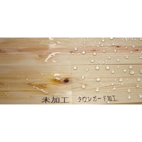 タウンガード2.png