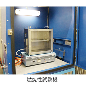 FMVSS-4.jpg
