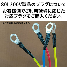 80L200Vplug.jpg