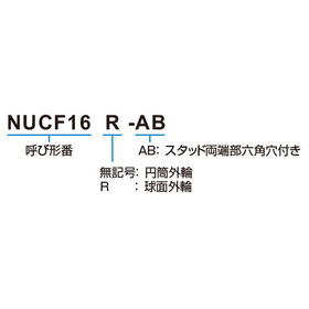NUCF_形式.jpg