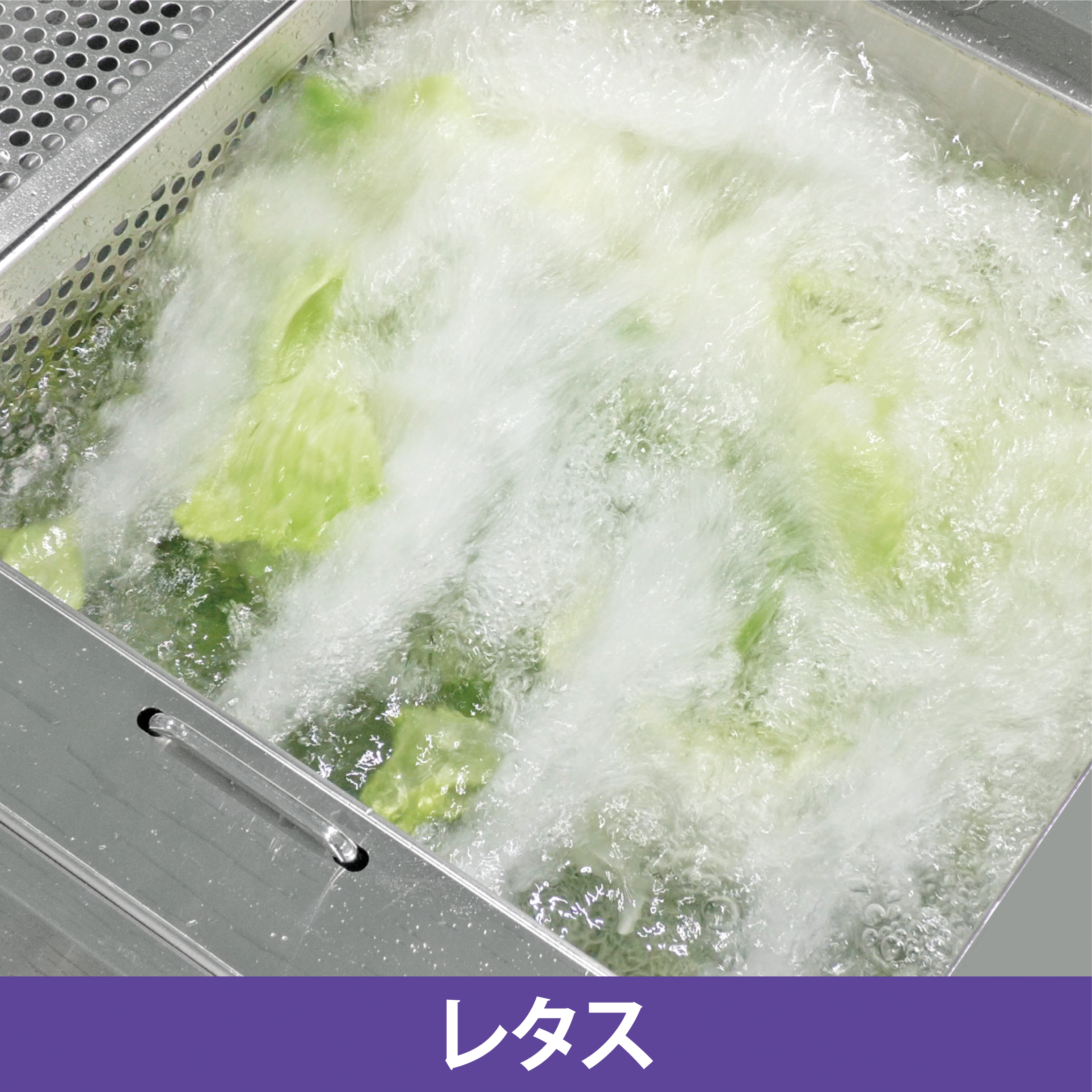 食品洗浄機「アクアウォッシュ・キューブ」 | タイガーカワシマ