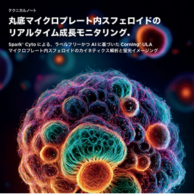 TN表紙画像.png