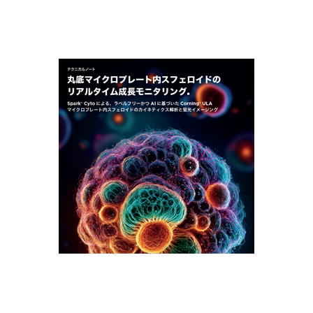 TN表紙画像.png
